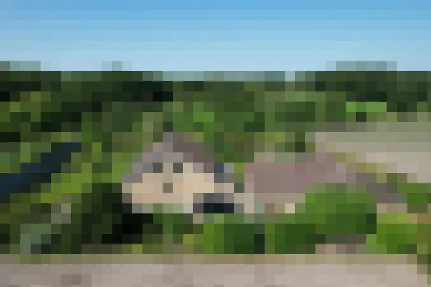 Hemelweg 1 Lepelstraat thumbnail 7