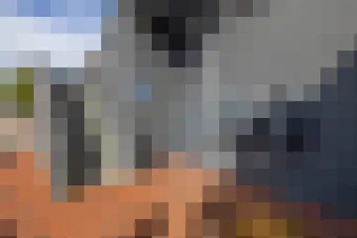 Hemenweg 10 Stadskanaal thumbnail 10
