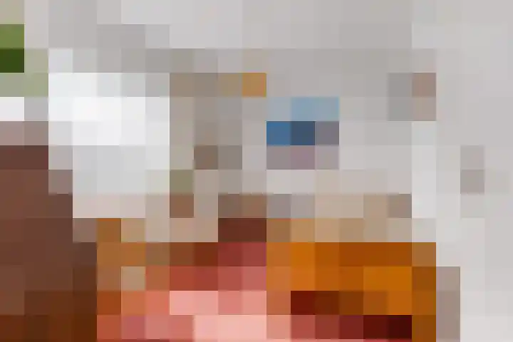 Hemiksemstraat 21 Oudenbosch thumbnail 16