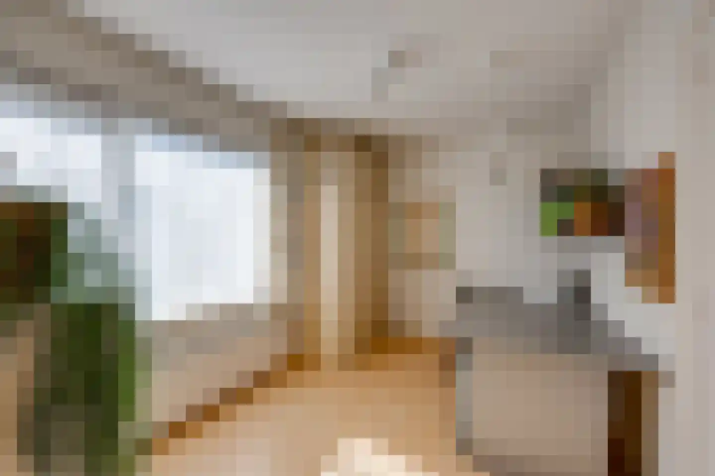 Hemiksemstraat 7 Oudenbosch thumbnail 13