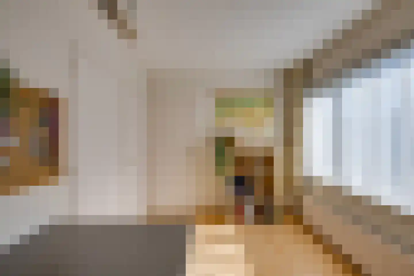 Hemiksemstraat 7 Oudenbosch thumbnail 15
