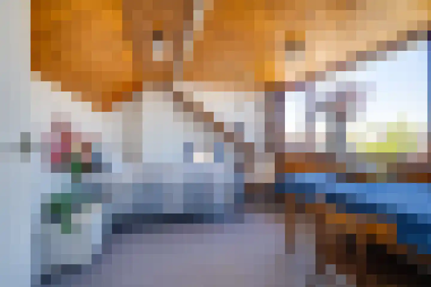 Hemiksemstraat 7 Oudenbosch thumbnail 18