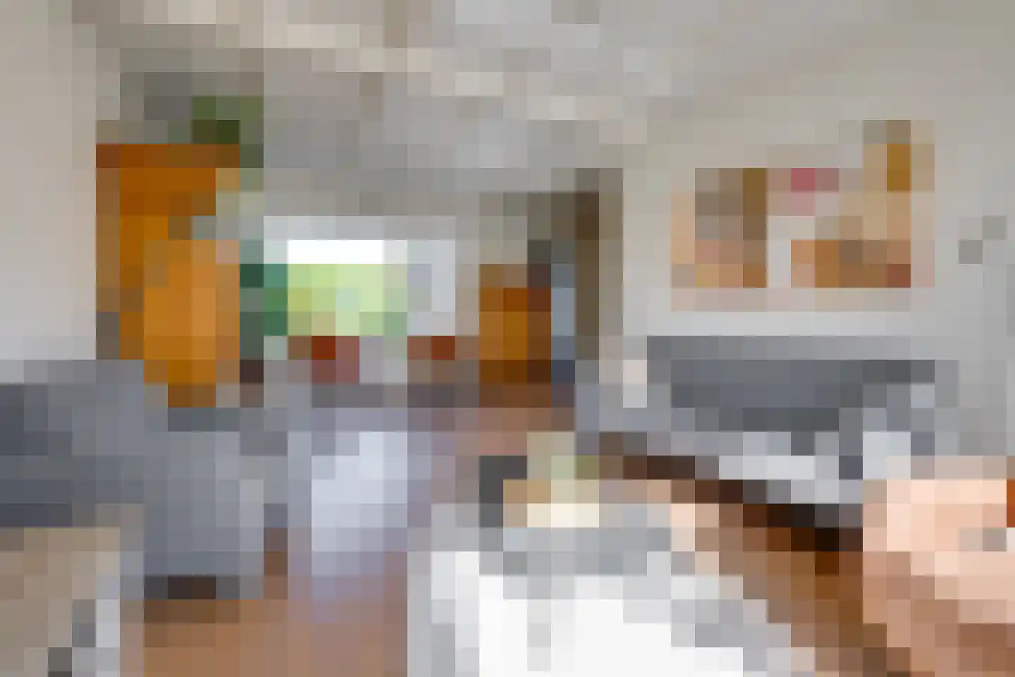Hemiksemstraat 7 Oudenbosch thumbnail 5