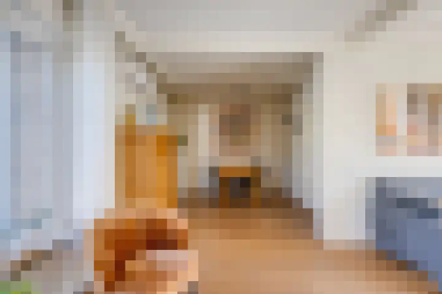 Hemiksemstraat 7 Oudenbosch thumbnail 7