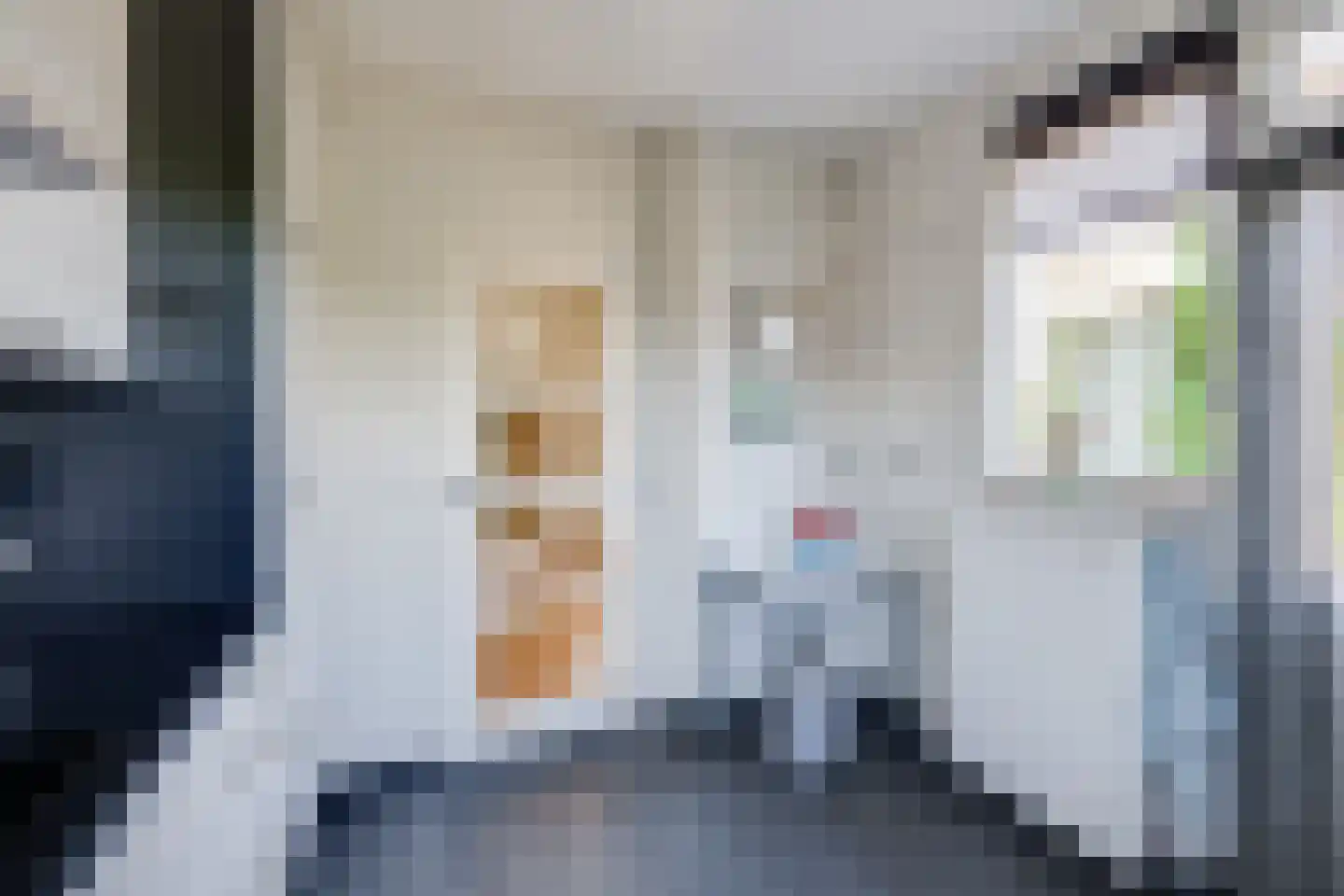 Hemiksemstraat 7 Oudenbosch thumbnail 9