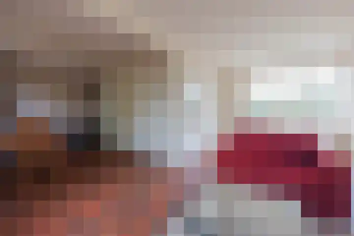 Heming 17 Broekhuizenvorst thumbnail 14