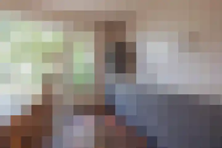 Heming 17 Broekhuizenvorst thumbnail 17