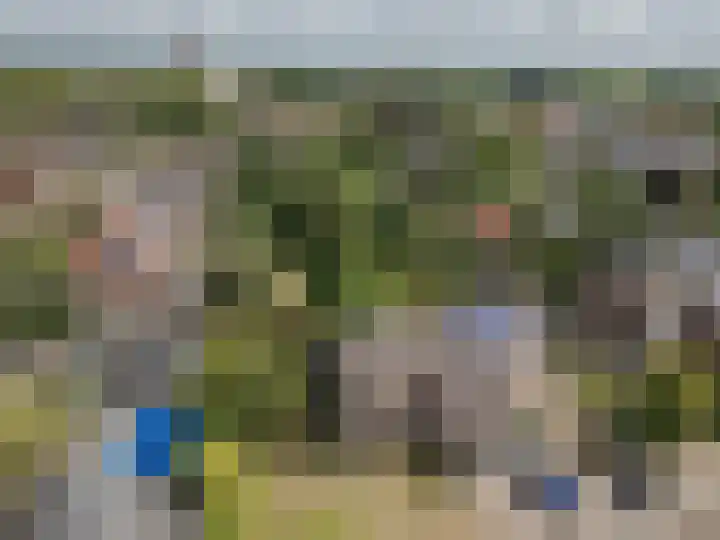 Heming 17 Broekhuizenvorst thumbnail 32