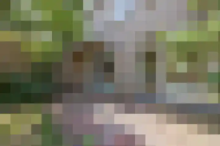 Heming 17 Broekhuizenvorst thumbnail 34