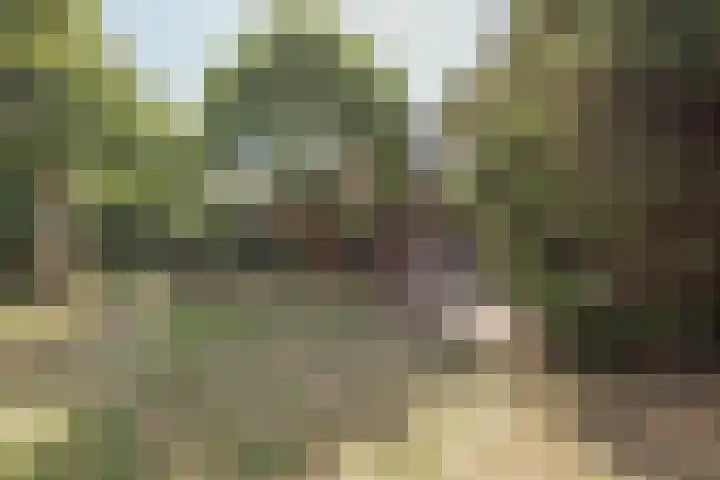 Heming 17 Broekhuizenvorst thumbnail 35