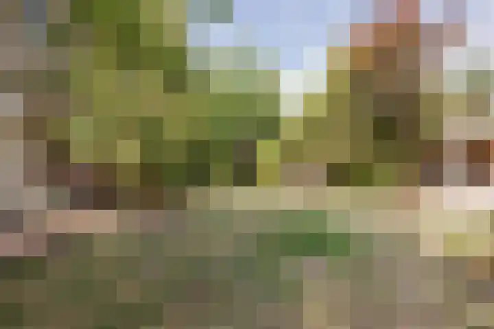 Heming 17 Broekhuizenvorst thumbnail 36