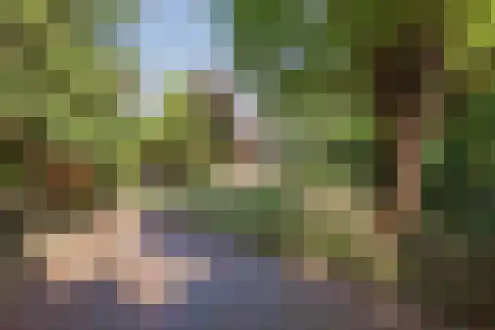 Heming 17 Broekhuizenvorst thumbnail 37