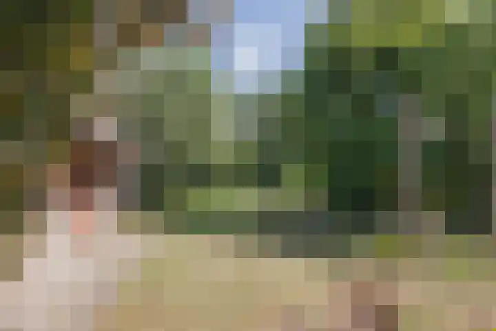 Heming 17 Broekhuizenvorst thumbnail 38