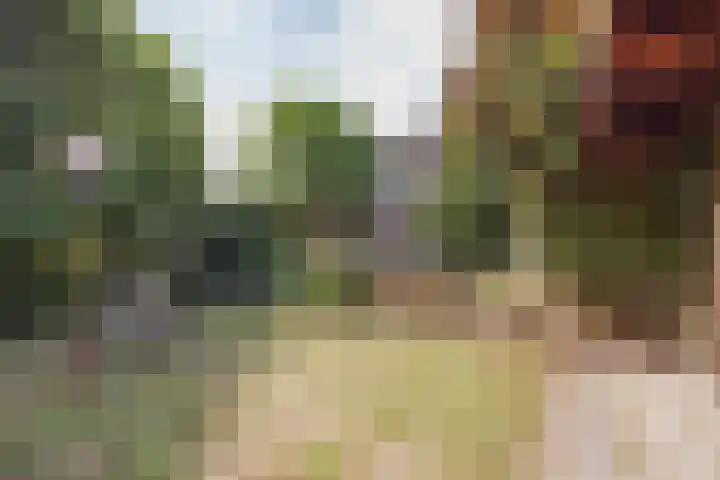 Heming 17 Broekhuizenvorst thumbnail 39