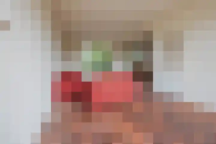 Heming 17 Broekhuizenvorst thumbnail 4