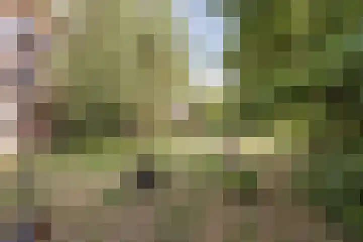 Heming 17 Broekhuizenvorst thumbnail 40