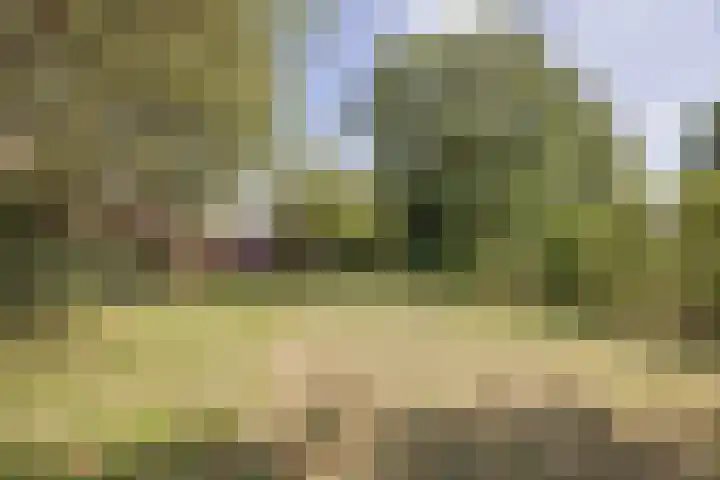 Heming 17 Broekhuizenvorst thumbnail 41
