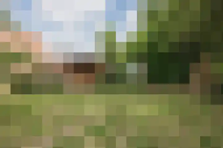 Heming 17 Broekhuizenvorst thumbnail 42