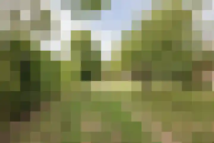 Heming 17 Broekhuizenvorst thumbnail 44
