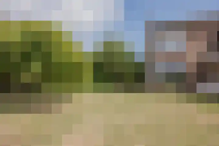 Heming 17 Broekhuizenvorst thumbnail 45