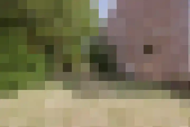 Heming 17 Broekhuizenvorst thumbnail 46