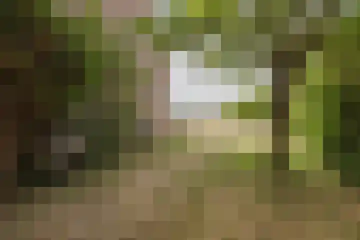 Heming 17 Broekhuizenvorst thumbnail 47