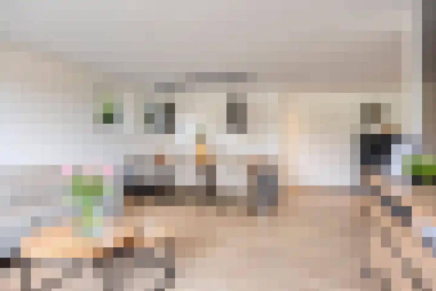 Heming 9 Broekhuizenvorst thumbnail 10