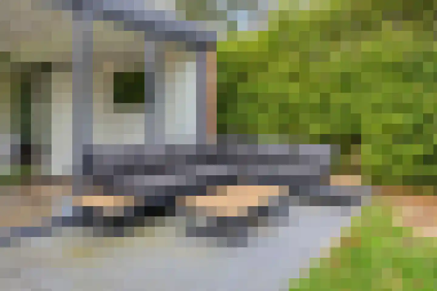 Heming 9 Broekhuizenvorst thumbnail 16