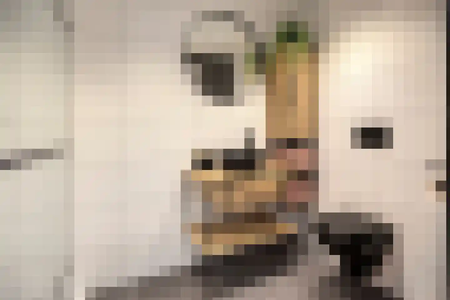 Heming 9 Broekhuizenvorst thumbnail 20