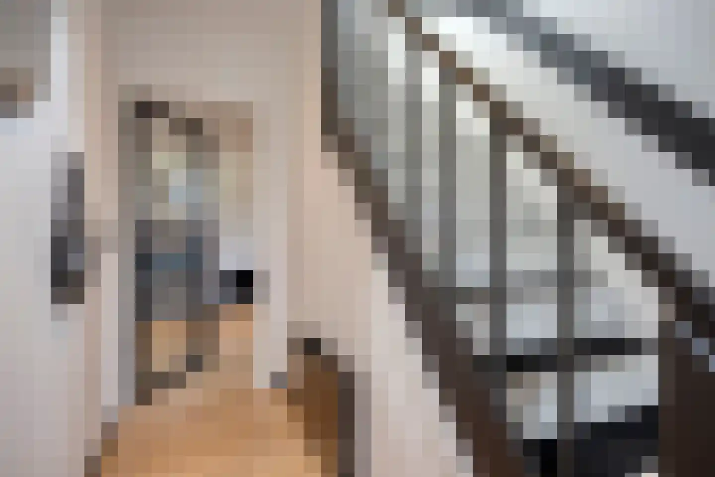 Heming 9 Broekhuizenvorst thumbnail 6