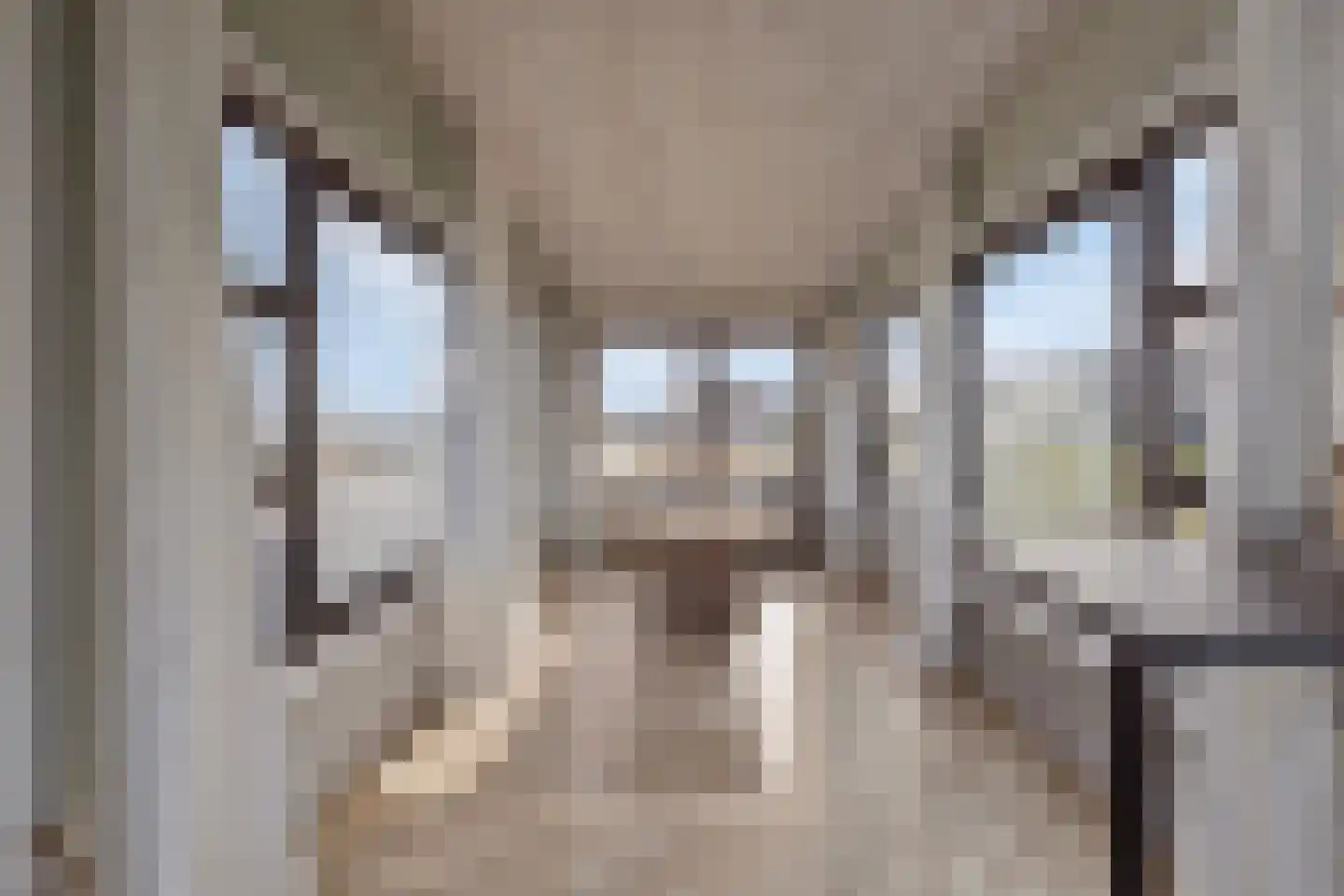Hemmeerpolder 13 Warmond thumbnail 22