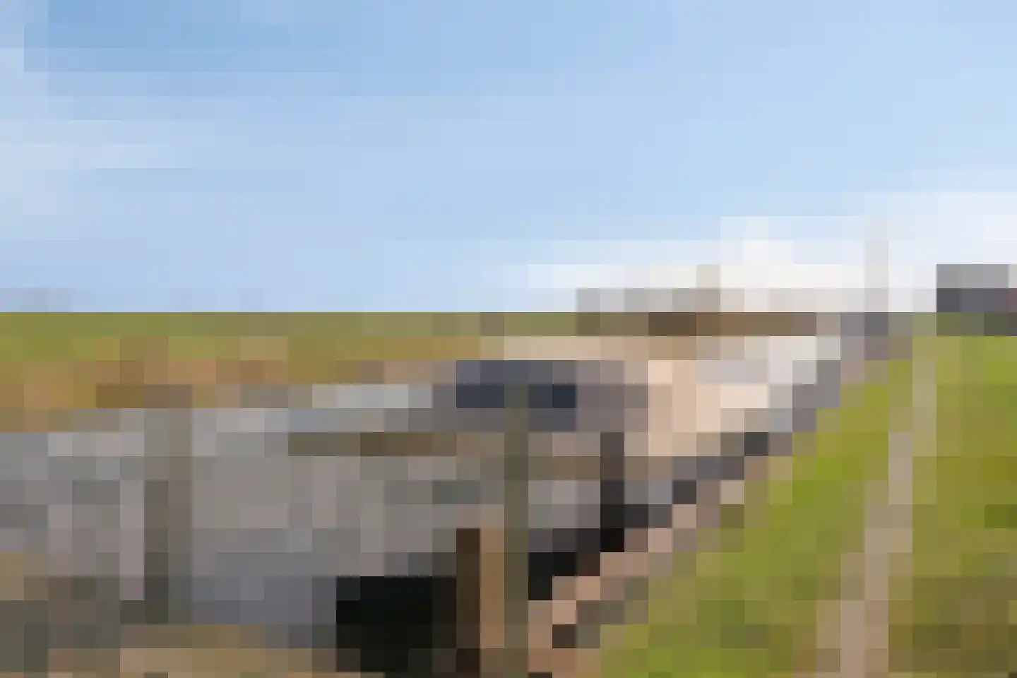 Hemmeerpolder 13 Warmond thumbnail 8