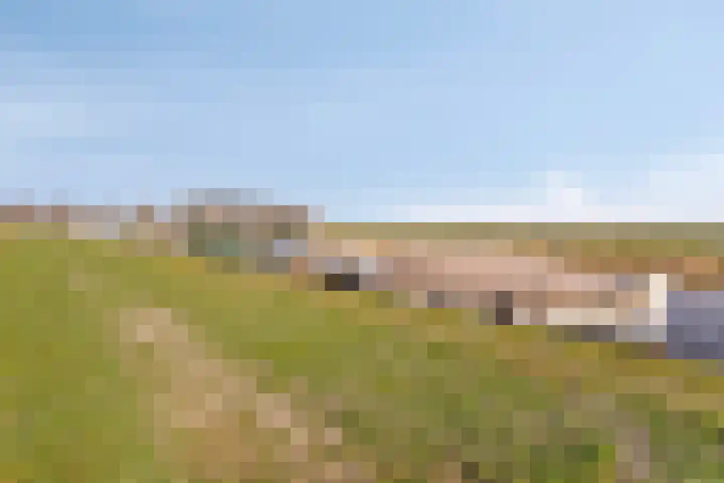 Hemmeerpolder 13 Warmond thumbnail 9