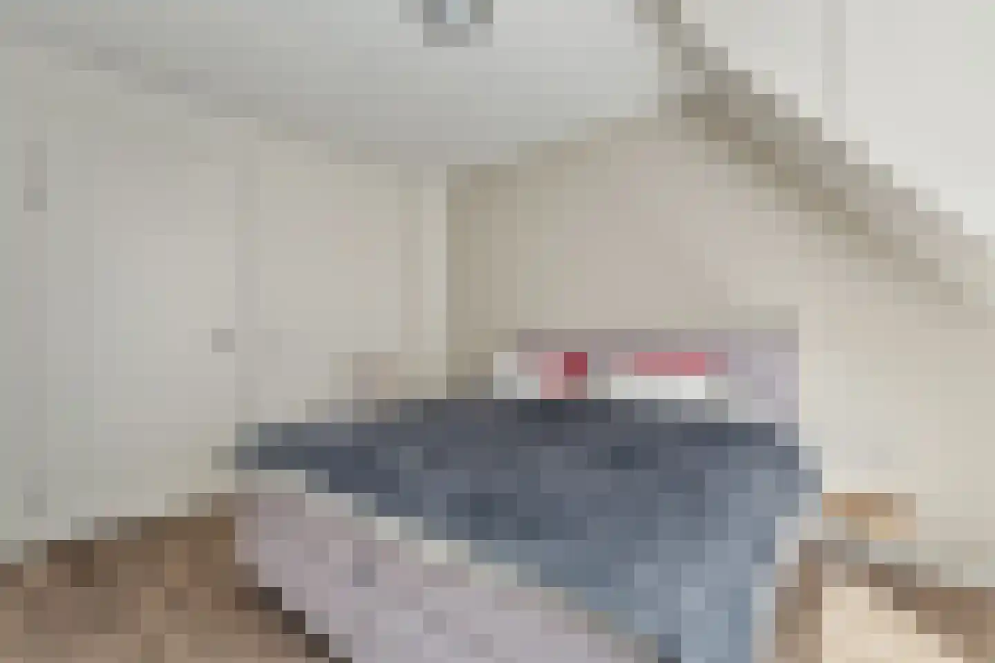 Hemmelweg 16 Markelo thumbnail 20