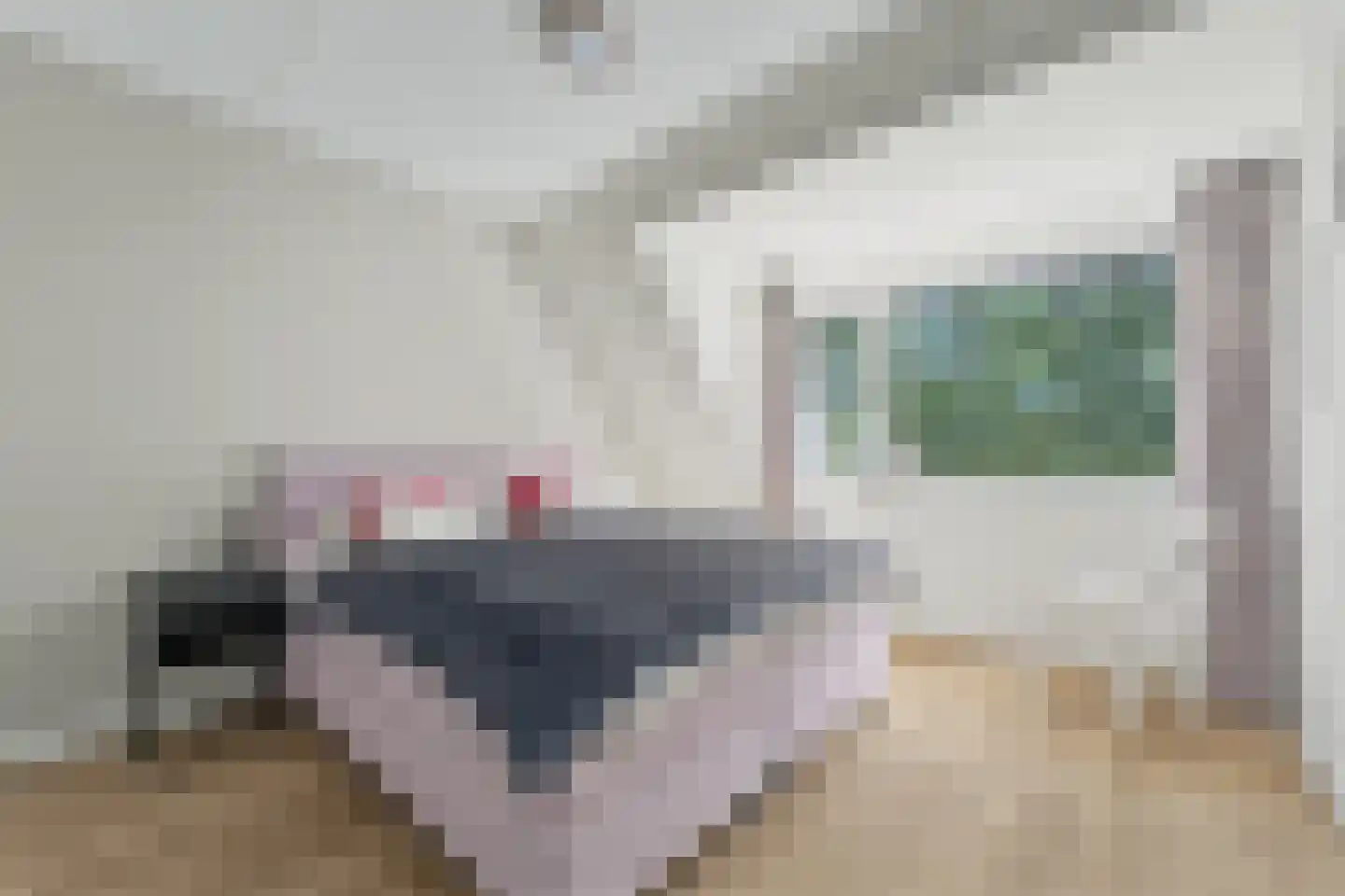 Hemmelweg 16 Markelo thumbnail 7