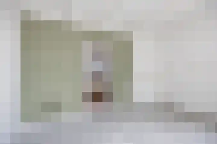 Hemmemaplein 11 Berltsum thumbnail 12