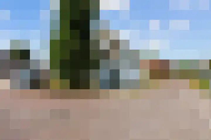 Hemmemaplein 11 Berltsum thumbnail 27