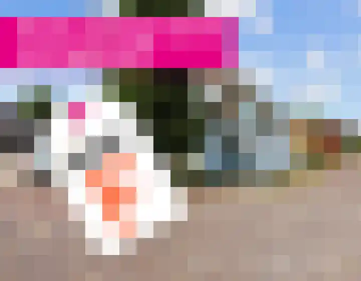 Hemmemaplein 11 Berltsum thumbnail 31