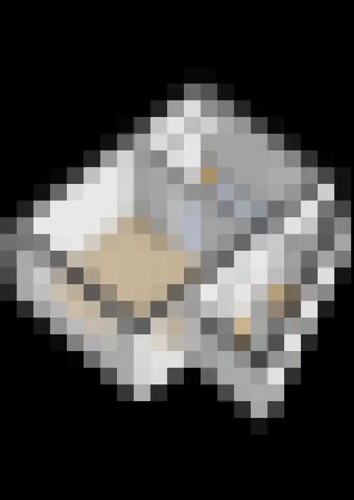 Hemmemaplein 11 Berltsum thumbnail 33