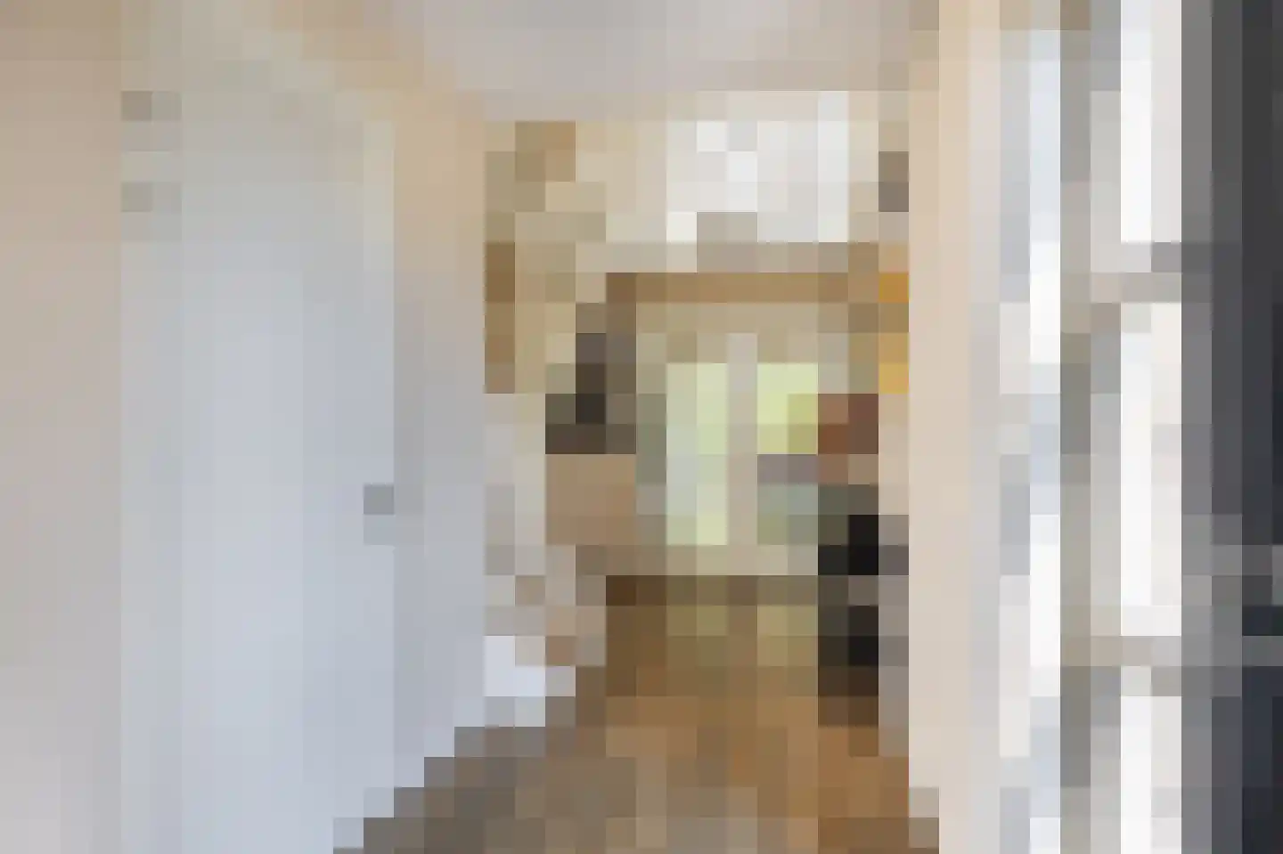 Hemmemawei 1 A Berltsum thumbnail 15