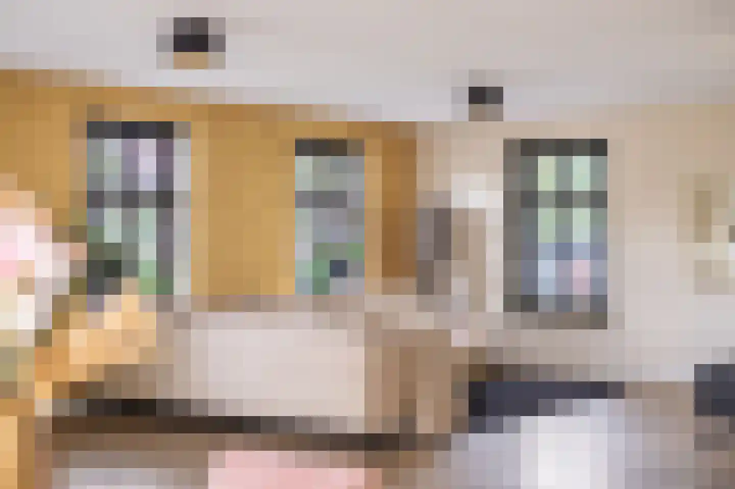 Hemmemawei 1 A Berltsum thumbnail 18