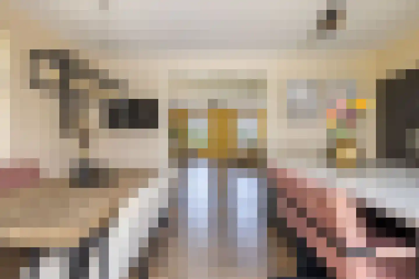Hemmemawei 1 A Berltsum thumbnail 34