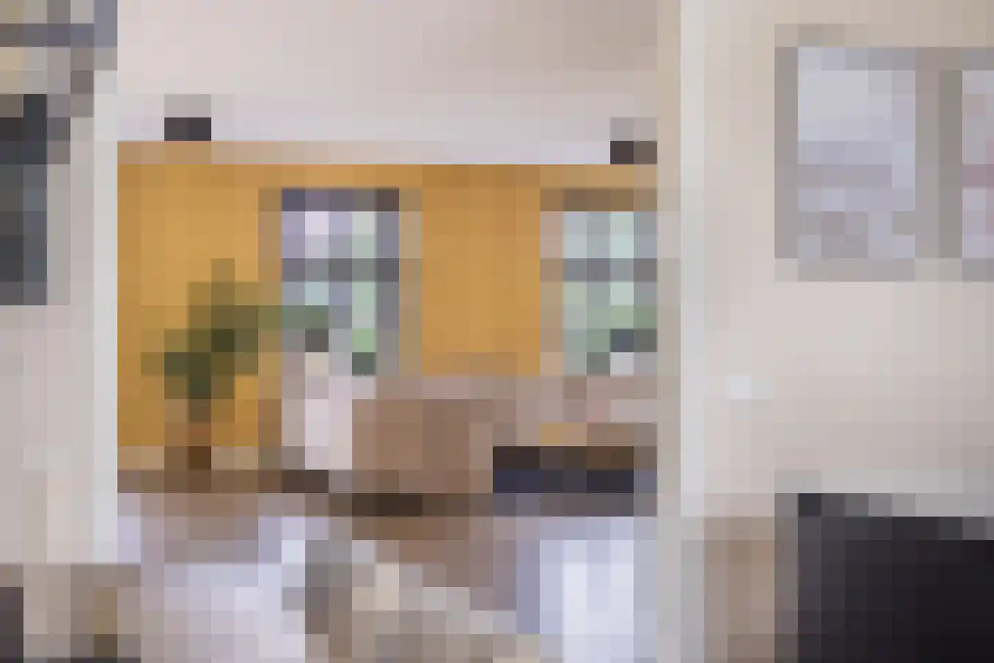 Hemmemawei 1 A Berltsum thumbnail 35