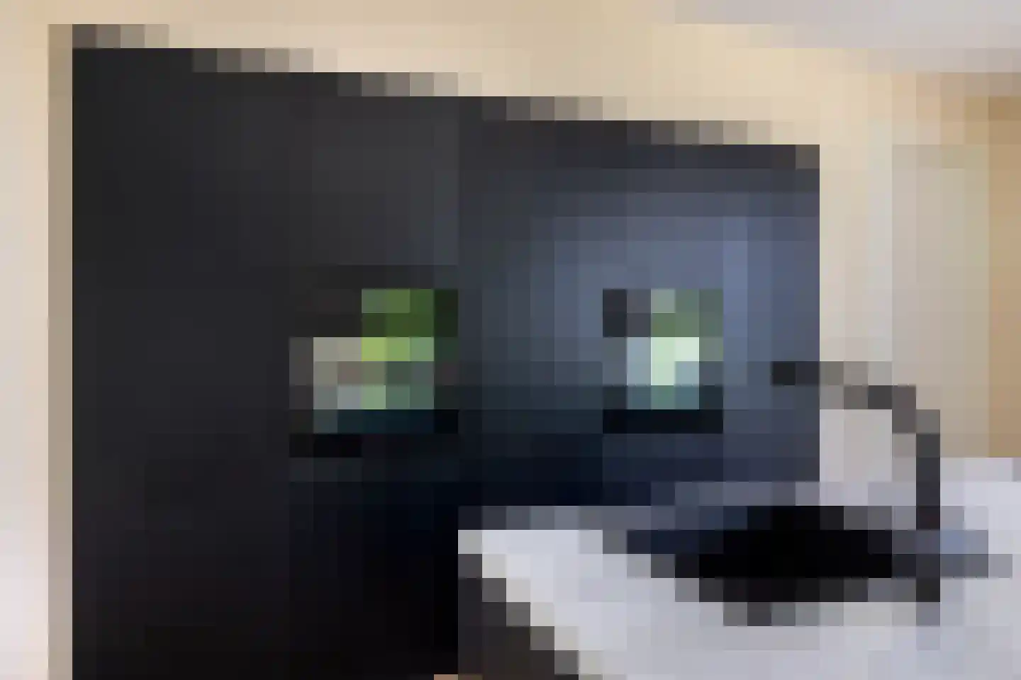 Hemmemawei 1 A Berltsum thumbnail 38
