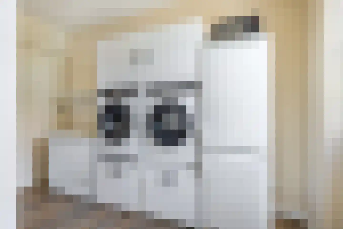 Hemmemawei 1 A Berltsum thumbnail 39