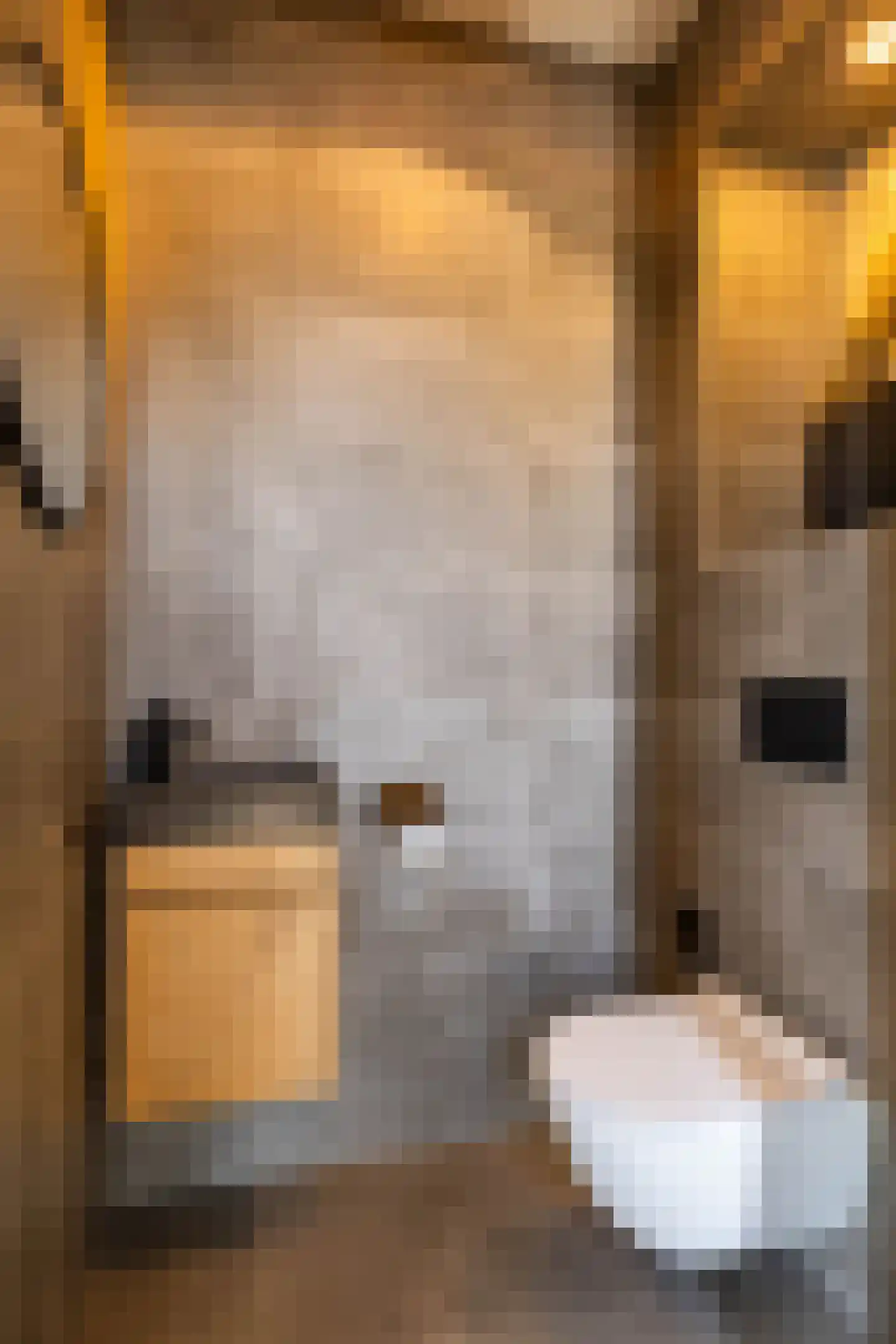 Hemmemawei 1 A Berltsum thumbnail 42