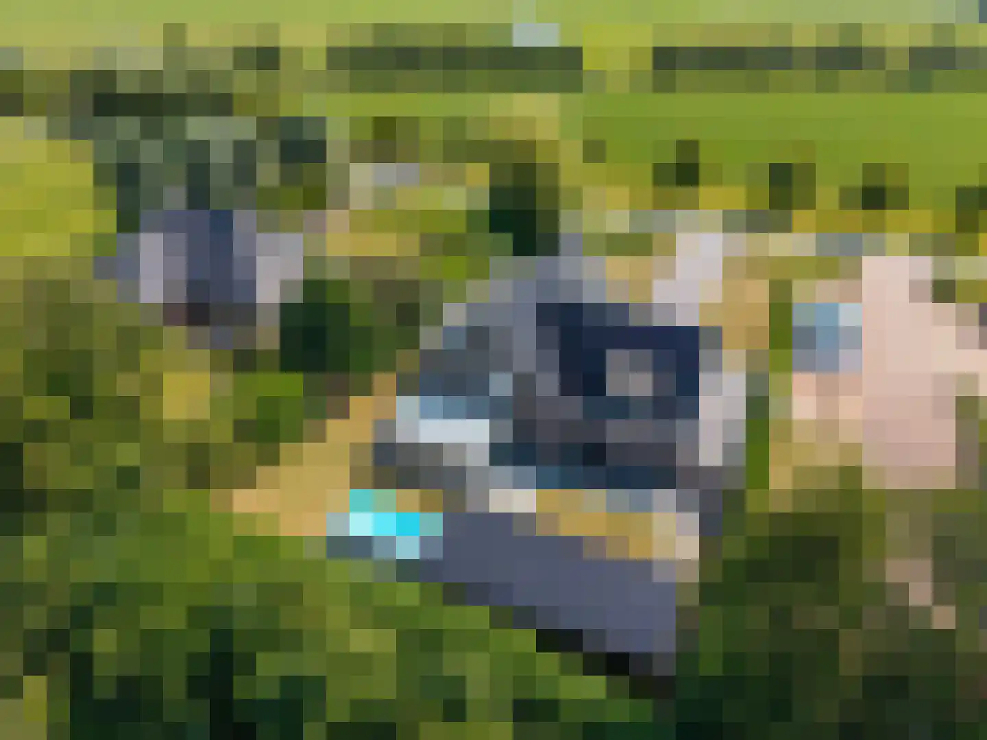 Hemmemawei 1 A Berltsum thumbnail 5