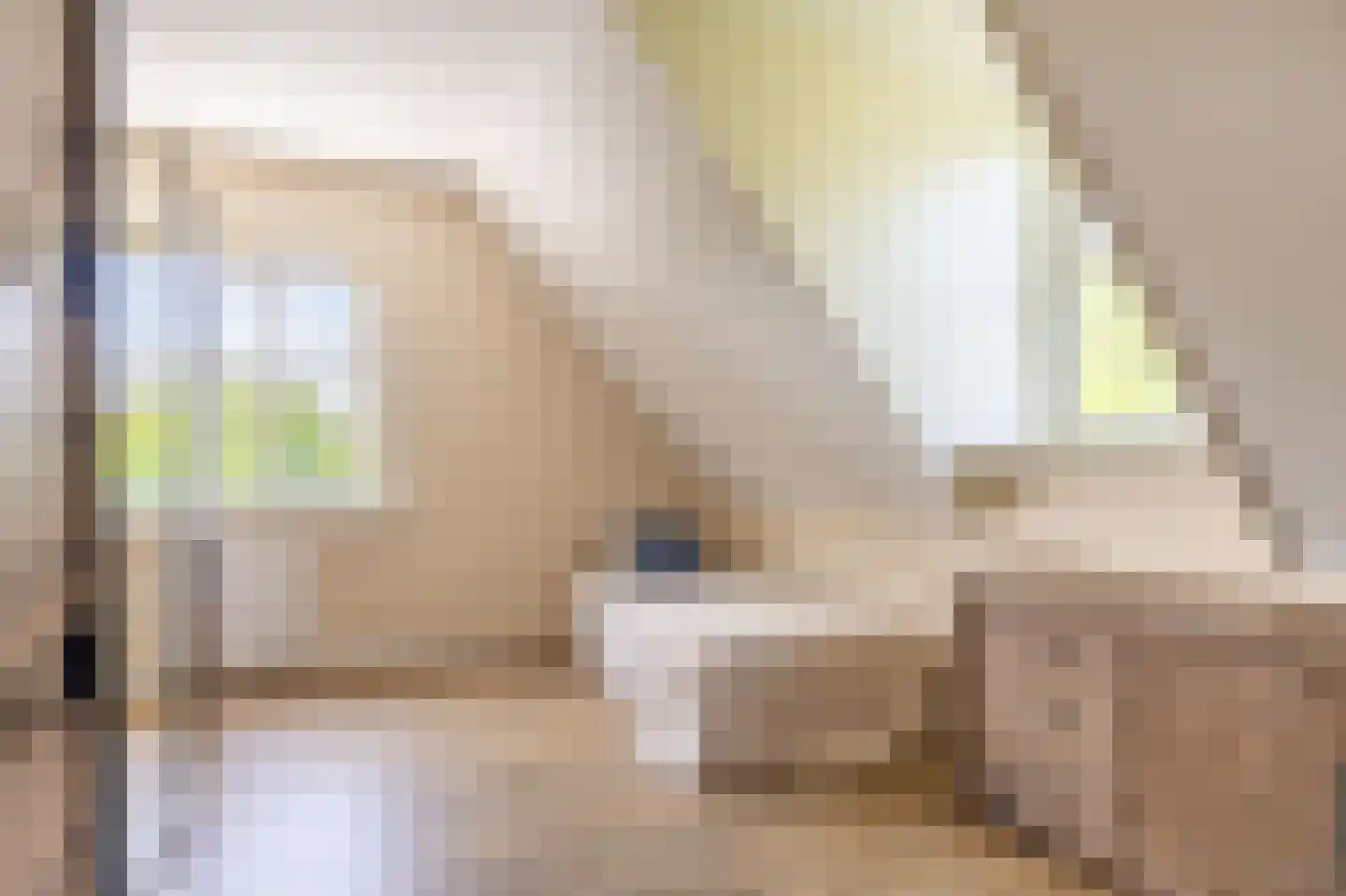 Hemmemawei 1 A Berltsum thumbnail 60