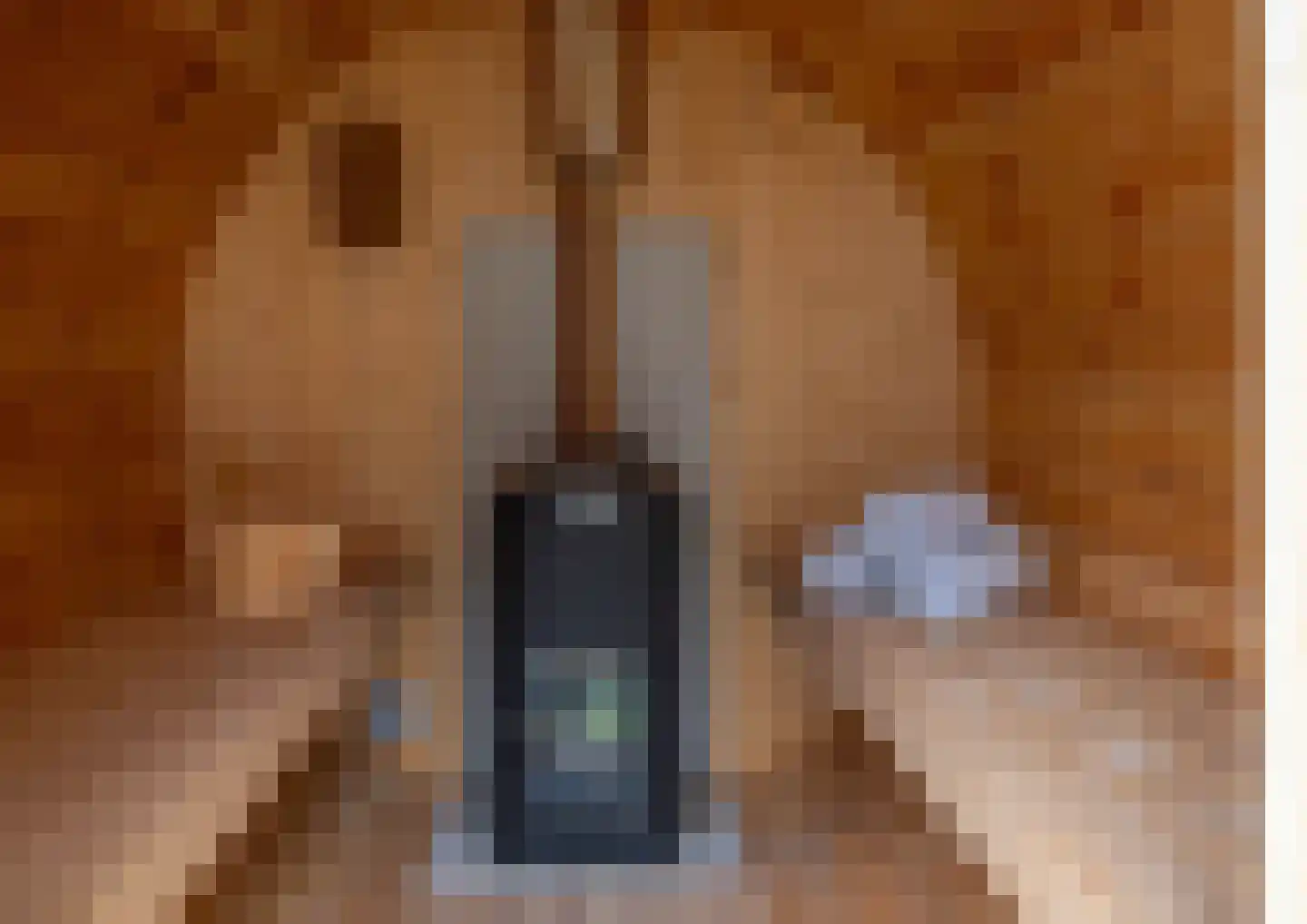 Hemmemawei 1 A Berltsum thumbnail 78