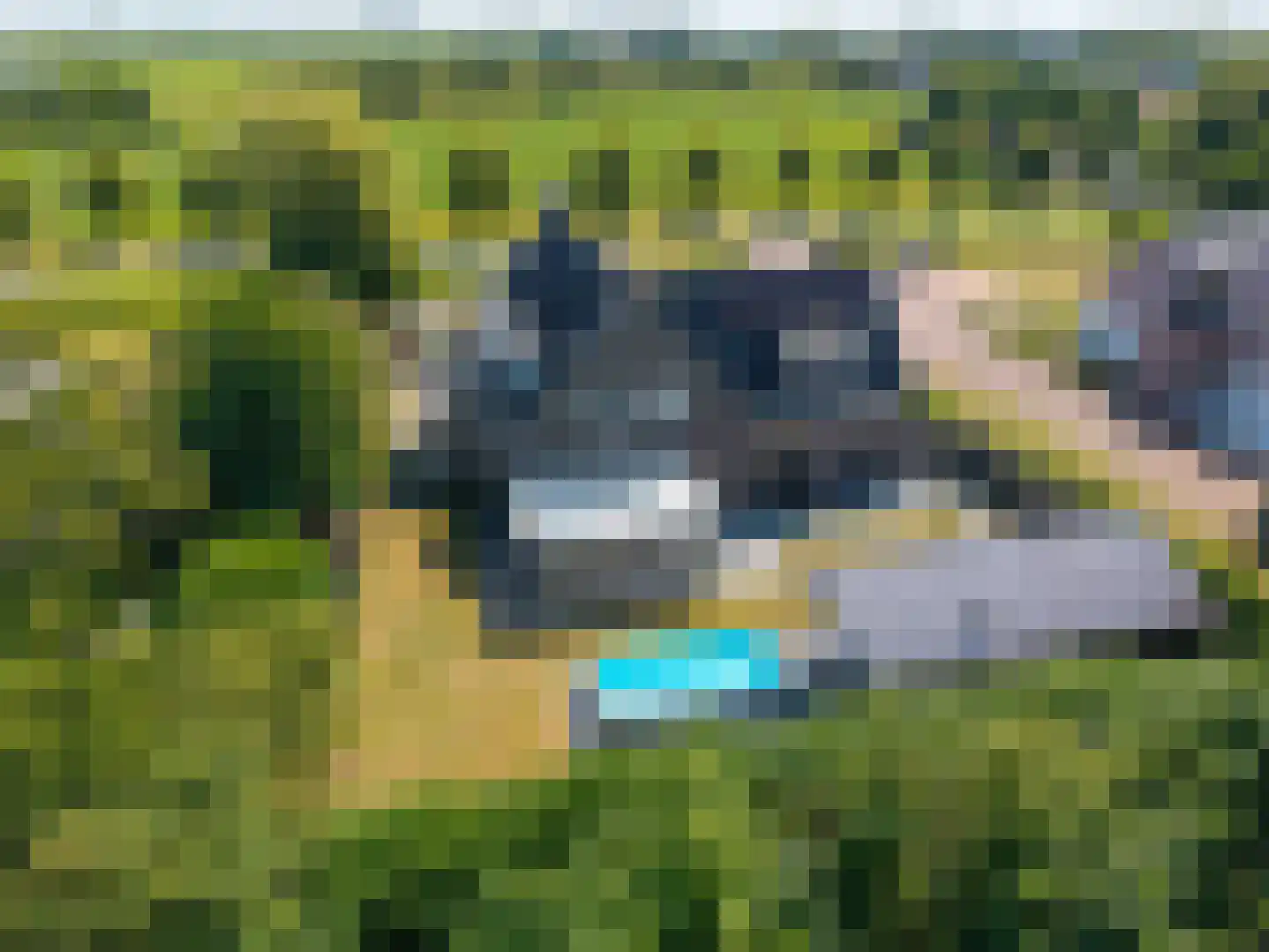 Hemmemawei 1 A Berltsum thumbnail 83